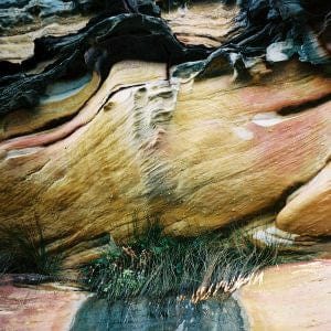 Francis Inferno Orchestra Veranda Culture – Veranda Culture (LP, Veranda Culture, 2017) Front Cover