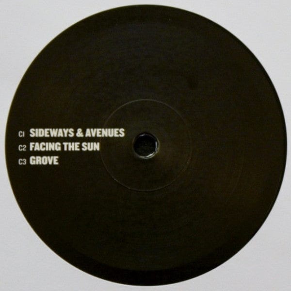 Fritz Kalkbrenner – Here Today Gone Tomorrow (2xLP, Gatefold, Suol, 2012) Image 5