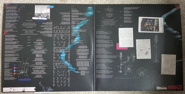 Glass Beach – The First Glass Beach Album (2xLP, Purple & Blue Pinwheel, Run For Cover Records, 2021) Image 5