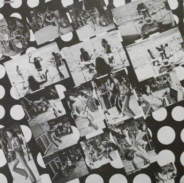 Golden Earring – Moontan (LP, Pinckneyville Pressing, MCA Records, 1974) Image 6