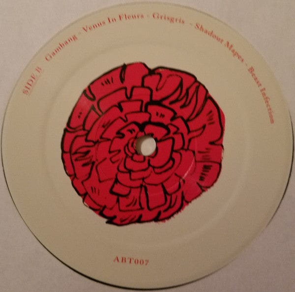 Grimes – Geidi Primes (LP, ARBUTUS RECORDS, 2016) Image 4