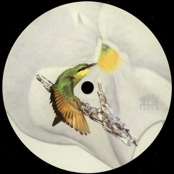 Jesse Somfay – The Nectar Of My Love (12", Traum Schallplatten, 2004) Back Cover