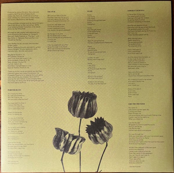 Joan Shelley - The Spur (LP) No Quarter Vinyl 843563152065