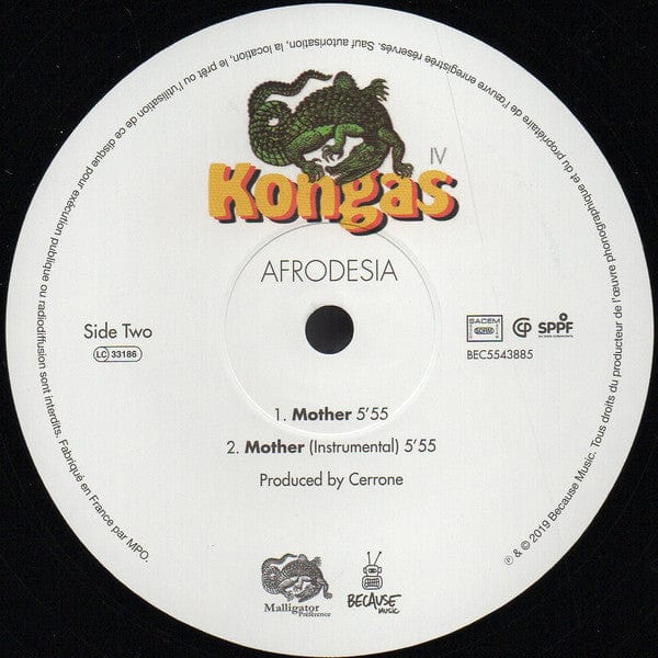 Kongas – Afrodesia (12", Because Music, 2019) Image 5