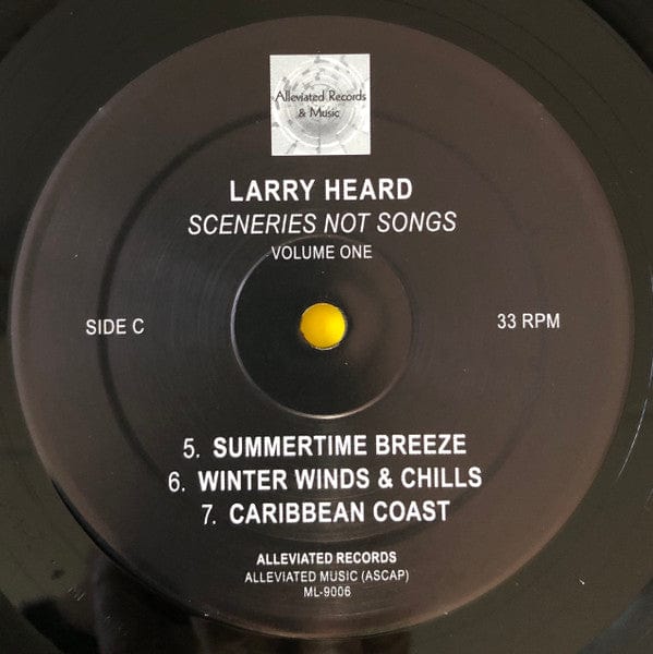 Larry Heard – Sceneries Not Songs, Volume One (2xLP, Alleviated Records, 2020) Image 5