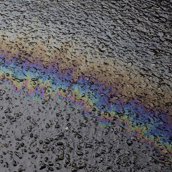 Laurel Halo - In Situ (2x12") Honest Jon's Records Vinyl 769791910355