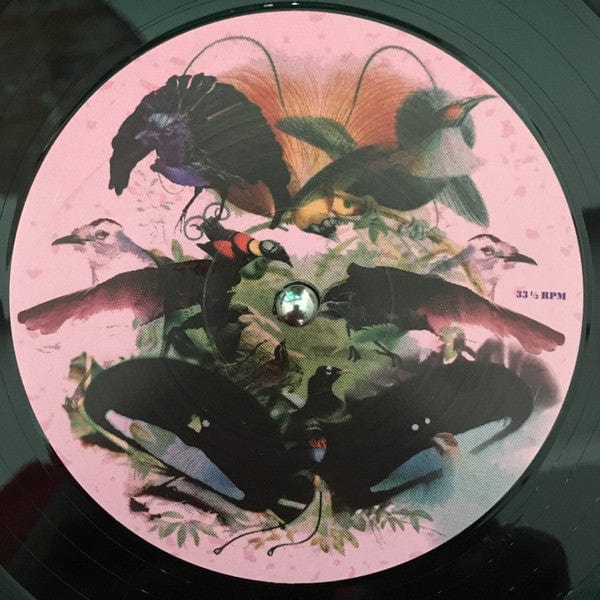 Leon Vynehall – Rojus (Designed To Dance) (2x12", Running Back, 2016) Image 5