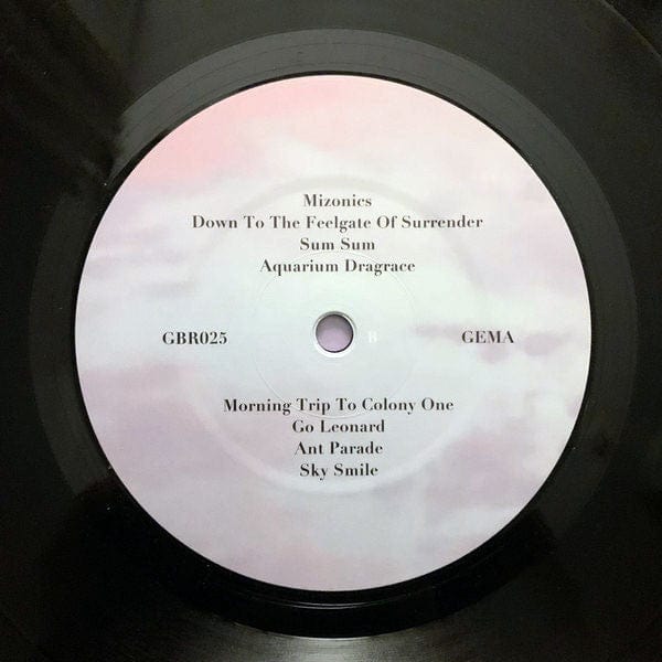 Liquid Canoe – Liquid Canoe (LP, Growing Bin Records, 2020) Image 4