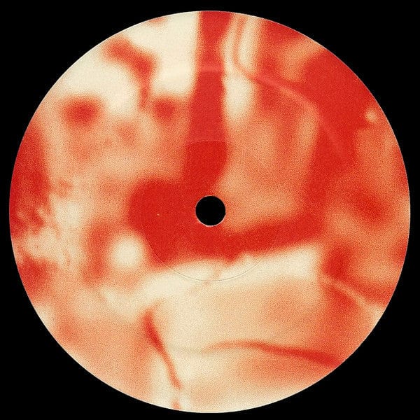 Loidis – A Parade, In The Place I Sit, The Floating World (& All Its Pleasures) (12", anno, 2018) Image 4