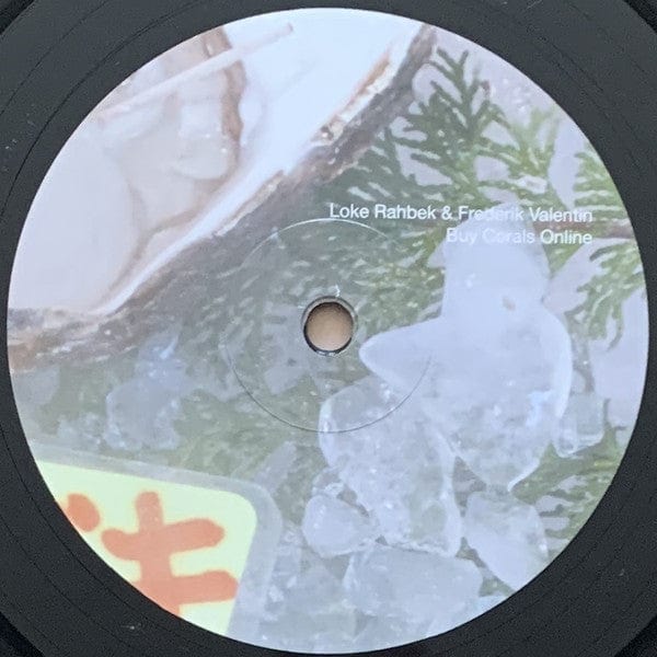 Loke Rahbek Frederik Valentin – Buy Corals Online (LP, Editions Mego, 2017) Image 4