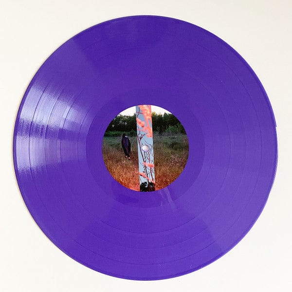 Lucia Cadotsch – Speak Low II (LP, Purple, We Jazz, 2020) Image 5