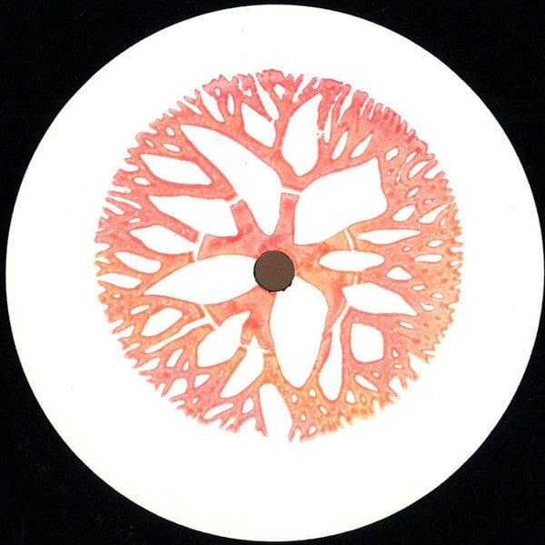 Marco Bernardi - The Miracle Sign (12") Bio Rhythm Vinyl