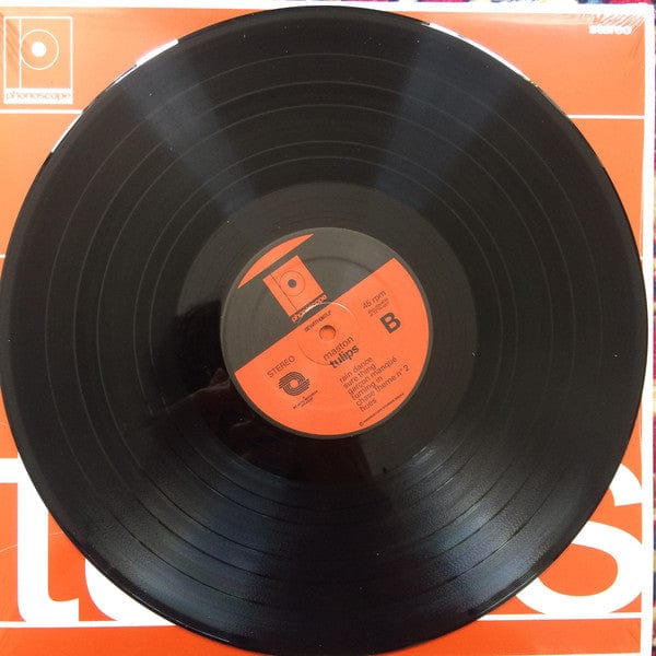 Maston – Tulips (LP, Be With Records, 2020) Image 4
