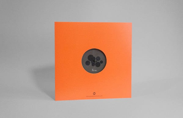 Matthew Halsall & The Gondwana Orchestra - Journey In Satchidananda / Blue Nile (12", RE) on Gondwana Records at Further Records