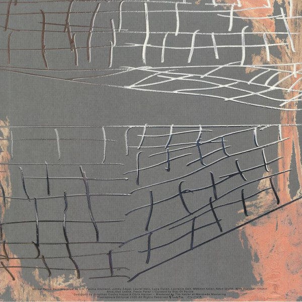 Mike Turtle - Michal Turtle Reinterpreted (2x12") Planisphere Vinyl
