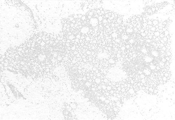 Muziekkamer – Op Zee (LP, Silver, Stroom, 2021) Image 5