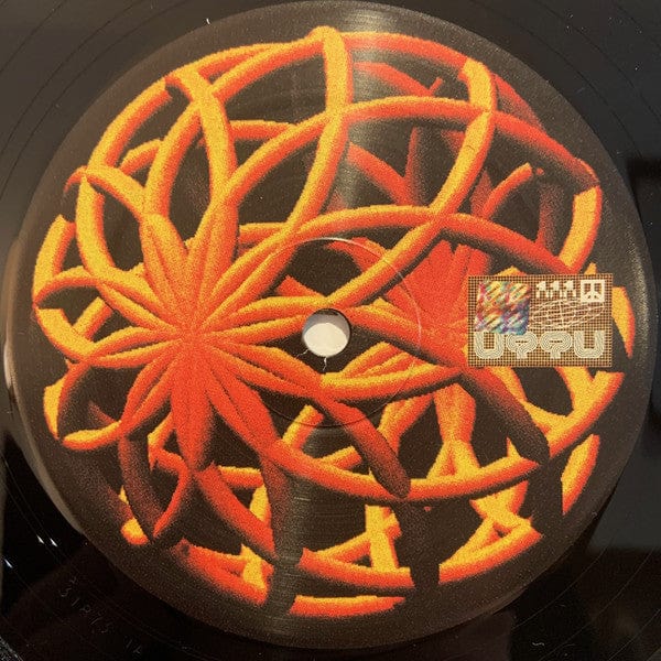 Naone - Falling Sun (12") on Unknown To The Unknown at Further Records