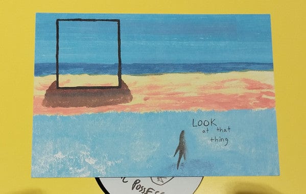 Nice Girl - Look At That Thing (12") Public Possession Vinyl