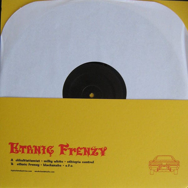 Niggas With Guitars – Ethnic Frenzy (LP, Art Edition, Digitalis Recordings, 2011) Back Cover