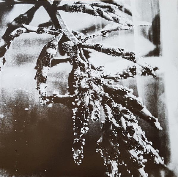 Objekt – Cocoon Crush (2x12", Pan, 2018) Image 5