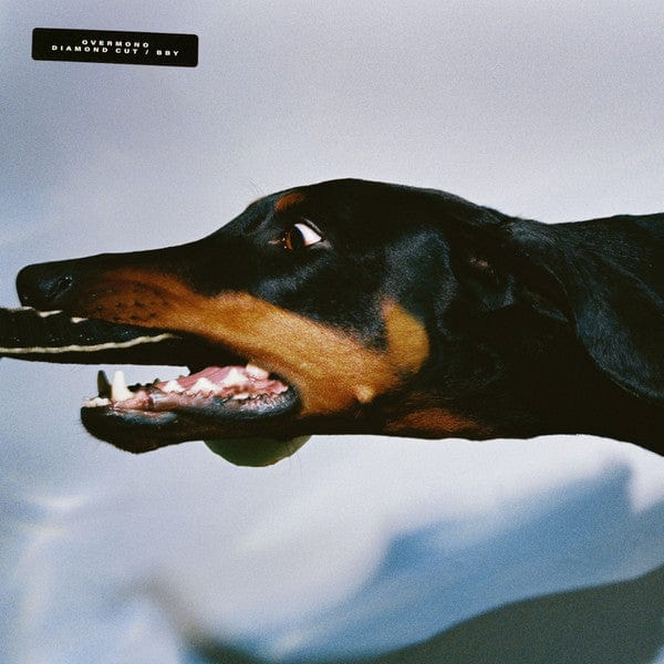 Overmono – Diamond Cut / Bby (12", XL Recordings, 2021) Front Cover