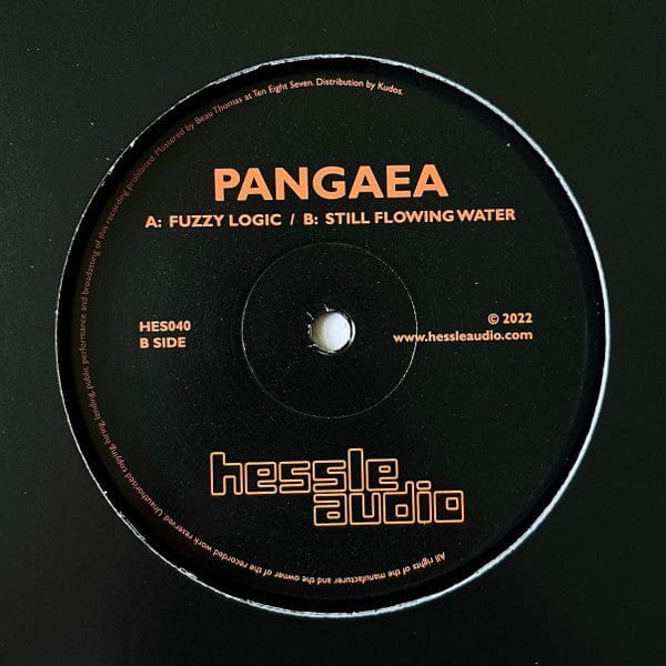 Pangaea – Fuzzy Logic / Still Flowing Water (12", Hessle Audio, 2022) Front Cover