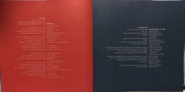 Pinegrove – Skylight (2xLP, Clear Skylight, Pinegrove, 2019) Image 5