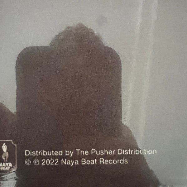 Pinky Ann Rihal – Tere Liye (Hindi Disco) (LP, Naya Beat Records, 2022) Image 4