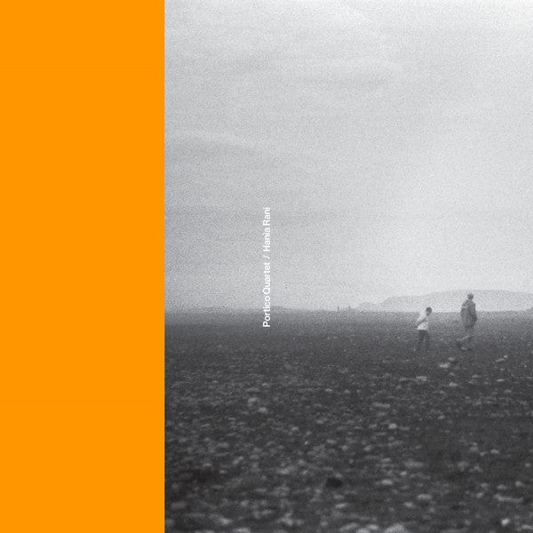 Portico Quartet / Hania Rani - Portico Quartet / Hania Rani (12") Gondwana Records Vinyl