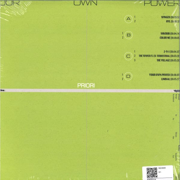 Priori (2) - Your Own Power (2x12") NAFF,Courage Holdings Inc Vinyl