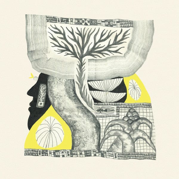 Quixosis - Rocafuerte (12") Eck Echo Records Vinyl