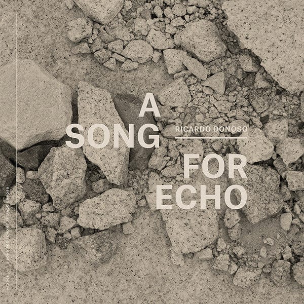 Ricardo Donoso – A Song For Echo (LP, Kathexis, 2014) Front Cover
