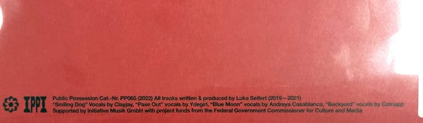 RIP Swirl – Blurry (LP, Public Possession, 2022) Image 3