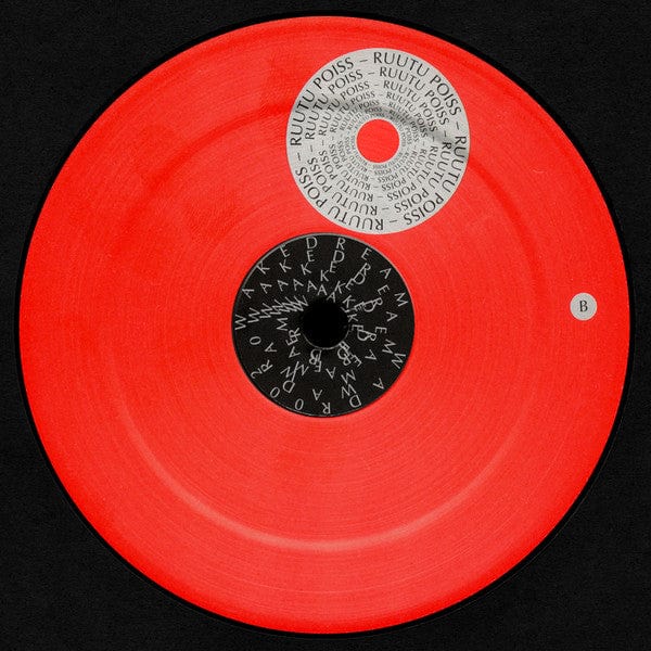 Ruutu Poiss – Palav Aed (LP, Wake Dream, 2021) Image 4