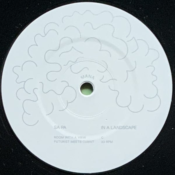 Sa Pa – In A Landscape (2xLP, Mana, 2019) Image 5