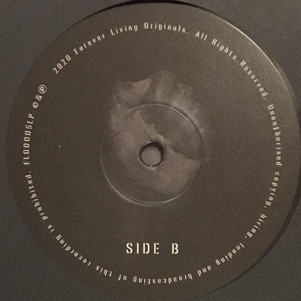 Sault – Untitled (Black Is) (2xLP, Forever Living Originals, 2020) Image 5