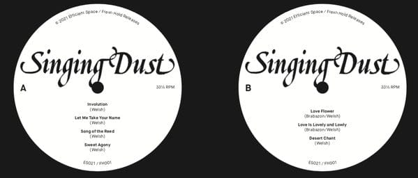 Singing Dust – Singing Dust (LP, Fresh Hold Releases, 2021) Image 3