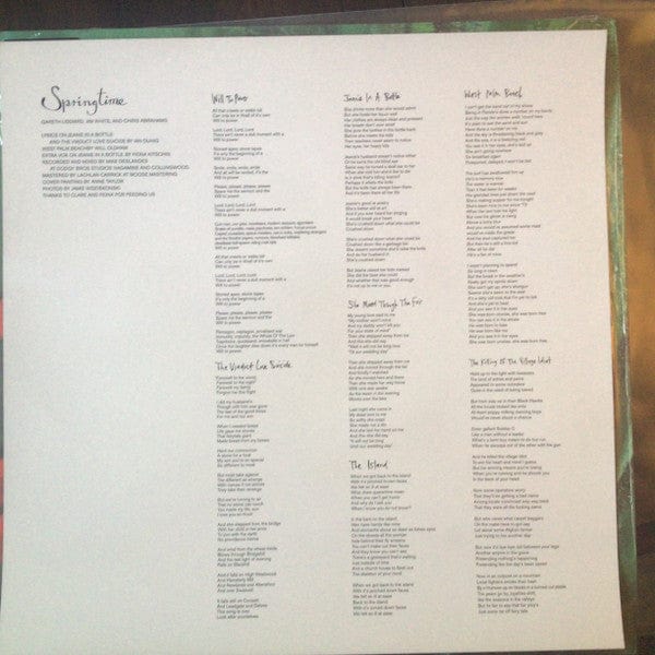 Springtime (8) - Springtime (LP) Joyful Noise Recordings,Joyful Noise Recordings,Tropical Fuck Storm Records,Tropical Fuck Storm Records Vinyl 602309893682