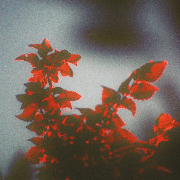 Ssiege – Meteora (12", Knekelhuis, 2021) Front Cover