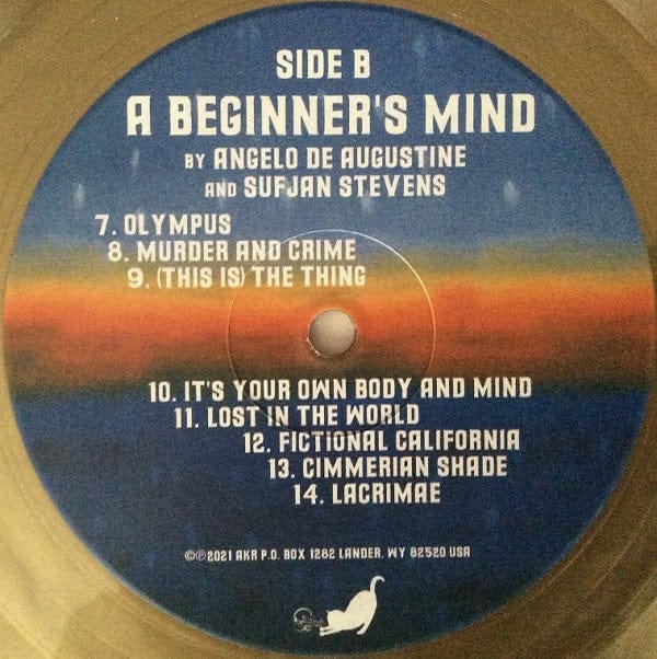 Sufjan Stevens Angelo De Augustine – A Beginner's Mind (LP, Gold, Asthmatic Kitty Records, 2021) Image 5