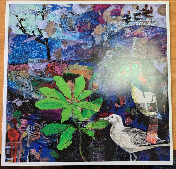 The Beta Band – The Beta Band (2xLP+CD, Gatefold Sleeve, Because Music, 2018) Image 5