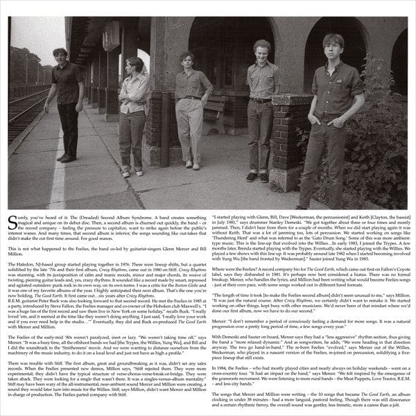 The Feelies – The Good Earth (LP, Bar/None Records, 2009) Image 5