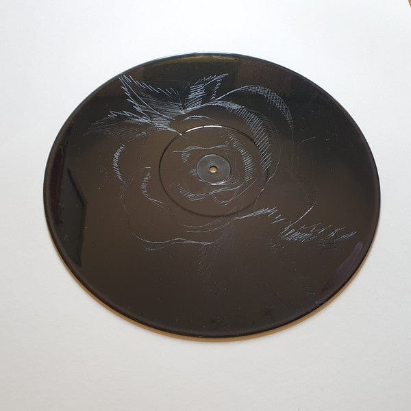 The Front Bottoms – Rose (LP, Bar/None Records, 2014) Image 4