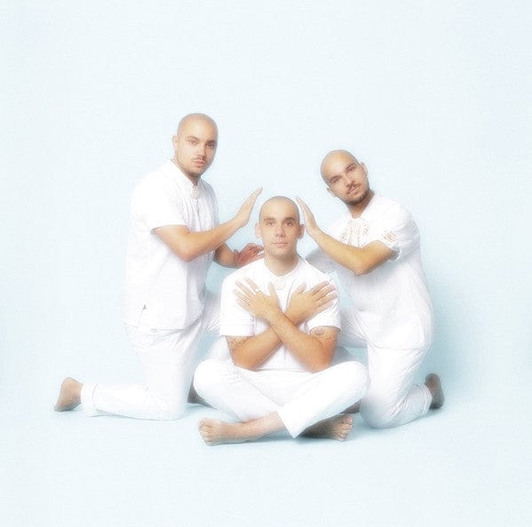 The Pilotwings – Les Charismatiques (2x12", Brothers From Different Mothers, 2021) Front Cover