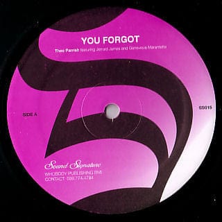 Theo Parrish - You Forgot / Dirt Rhodes (12", RE) Sound Signature