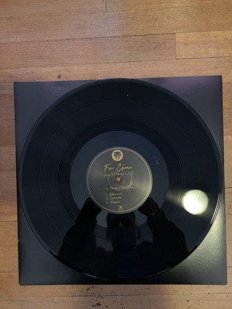 Thundercat Feat. Ty$ & Lil B - Fair Chance (12") Brainfeeder 5054429143874