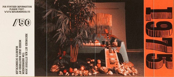 Tim Berresheim – Money (Cassette, New Amerika, 2013) Image 3