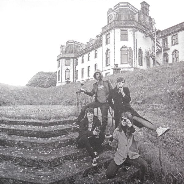 Tropical Fuck Storm - Braindrops (LP) Joyful Noise Recordings Vinyl 753936904378