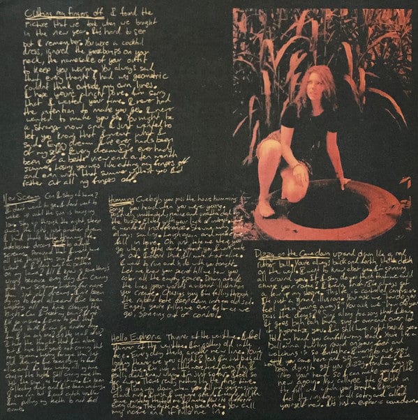 Turnover (3) - Peripheral Vision (LP) Run For Cover Records (2) Vinyl 811774021814