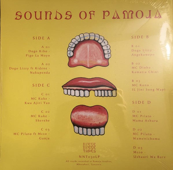 Various – Sounds Of Pamoja (2xLP, Red, Nyege Nyege Tapes, 2021) Back Cover